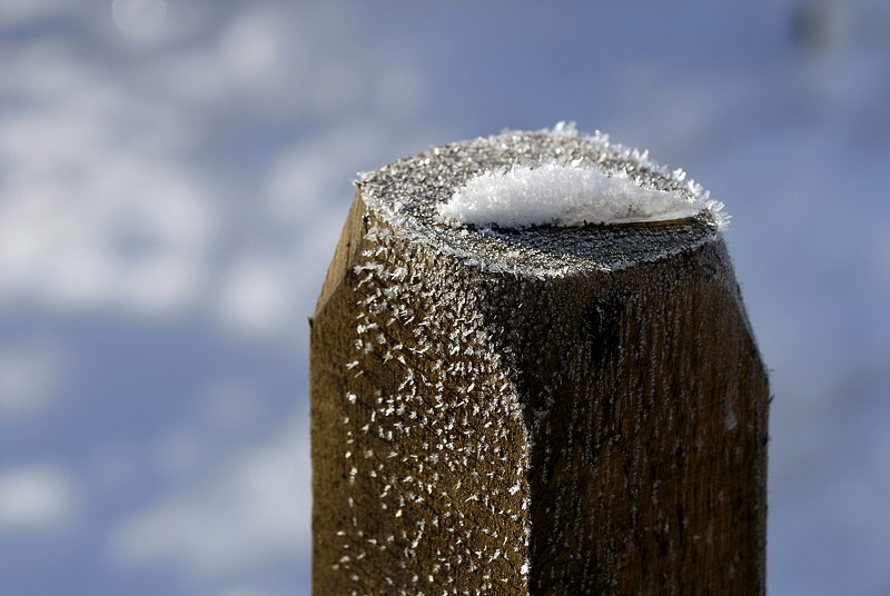 Winter _DDC8891 Kopie.jpg